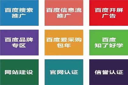 百度SEO推广策略：如何快速提升网站排名？——案例详解